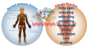 allergy symtoms, allergy doctor in indore india, jabalpur, bhopal, sagar, ujjain, gwalior, surat, gujrat