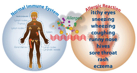 allergy symtoms, allergy doctor in indore india, jabalpur, bhopal, sagar, ujjain, gwalior, surat, gujrat 